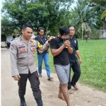 Kawanan Pencuri Sawit di Bangka Selatan Diamankan, Satu Pelaku Buron