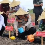 DUKUNG KETAHANAN PANGAN POLRES BASEL BERHASIL PANEN 49,75 TON JAGUNG